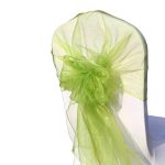 10Pc Sage Green Organza Hood