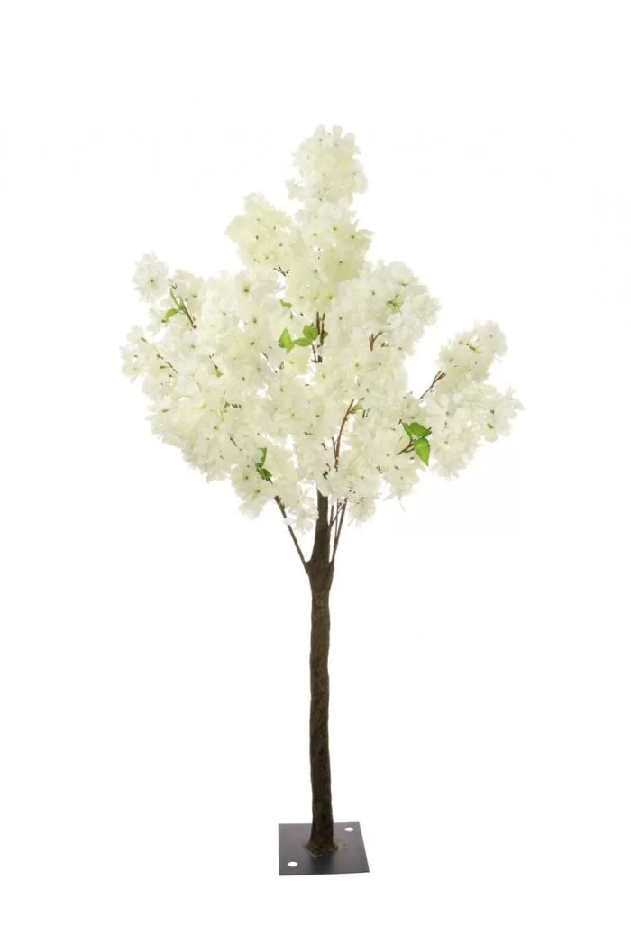 ivory blossom tree