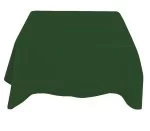70'' x 70'' Forest Green Seamless Polyester Tablecloth