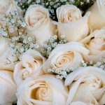 Roses for Wedding Decoration